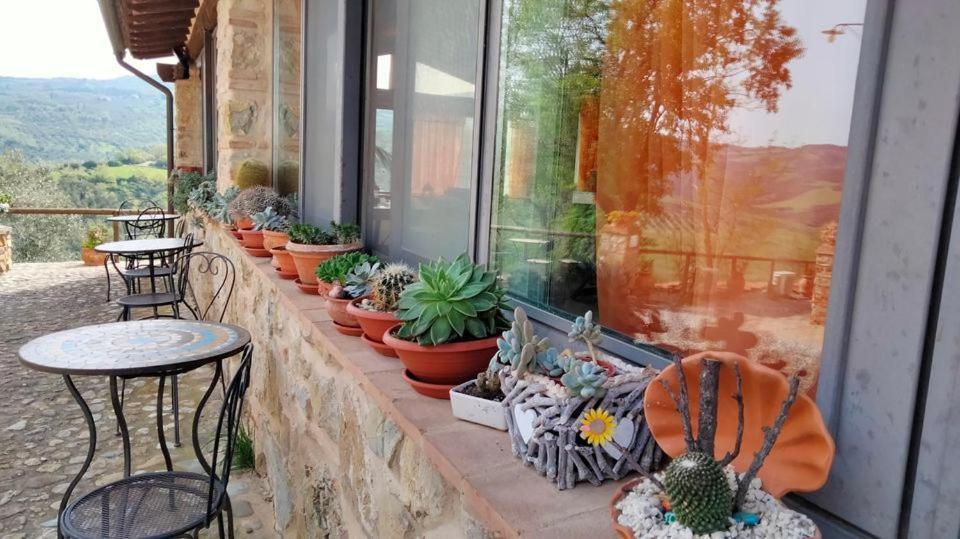 Agriturismo Grossola Кастильоне-д'Орчия Экстерьер фото