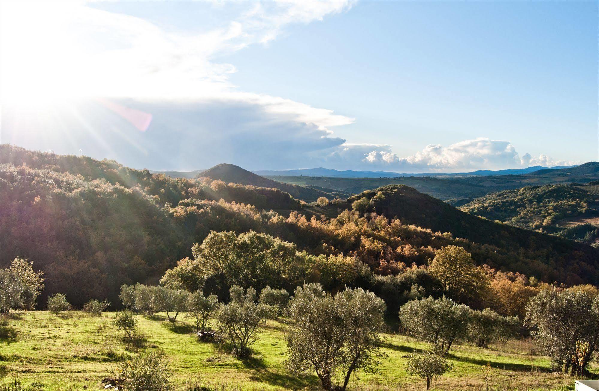 Agriturismo Grossola Кастильоне-д'Орчия Экстерьер фото